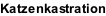 Katzenkastration