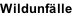 Wildunfälle